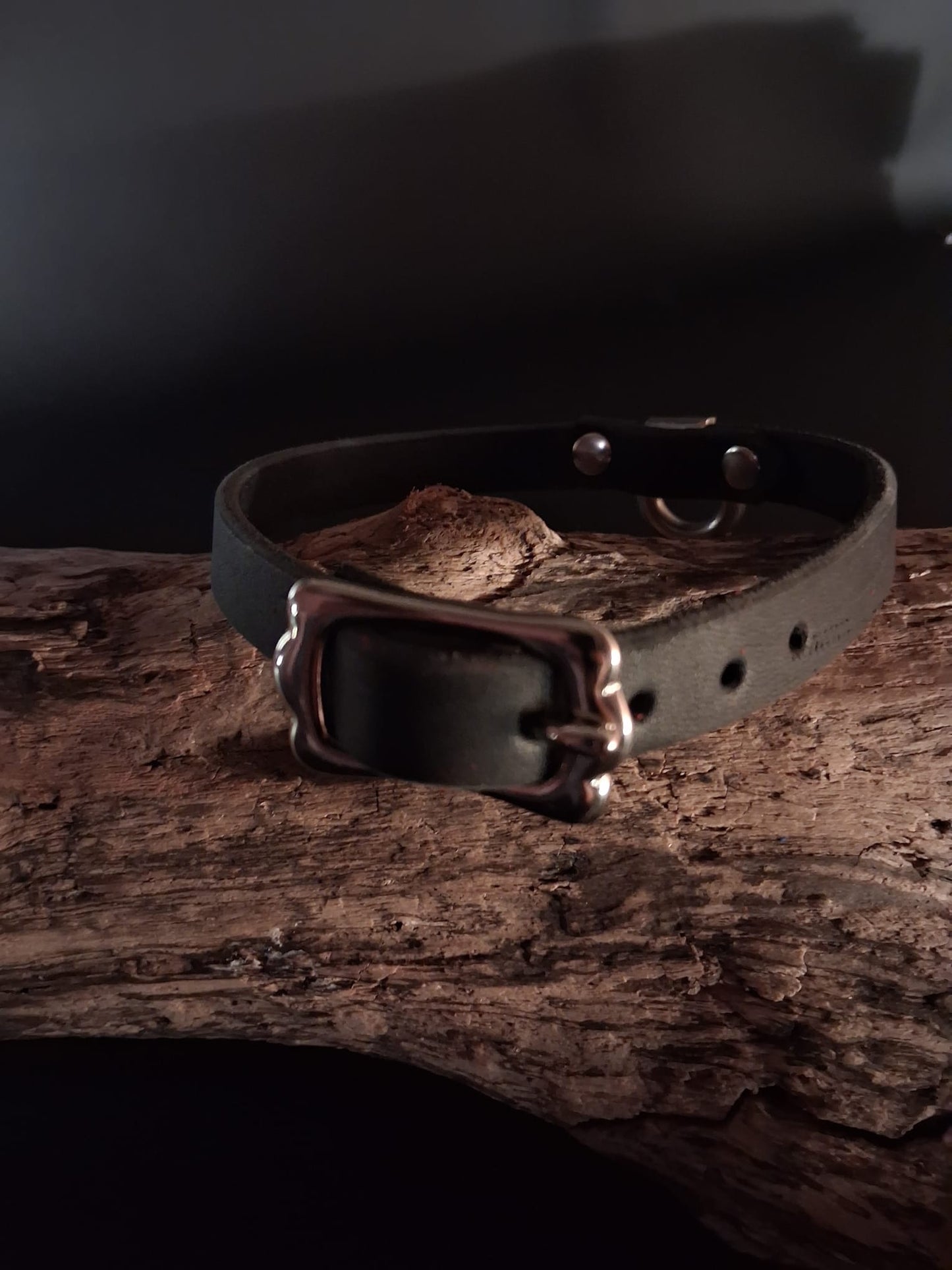 Halsband ,,Daily'' aus Fettleder 15 mm breit